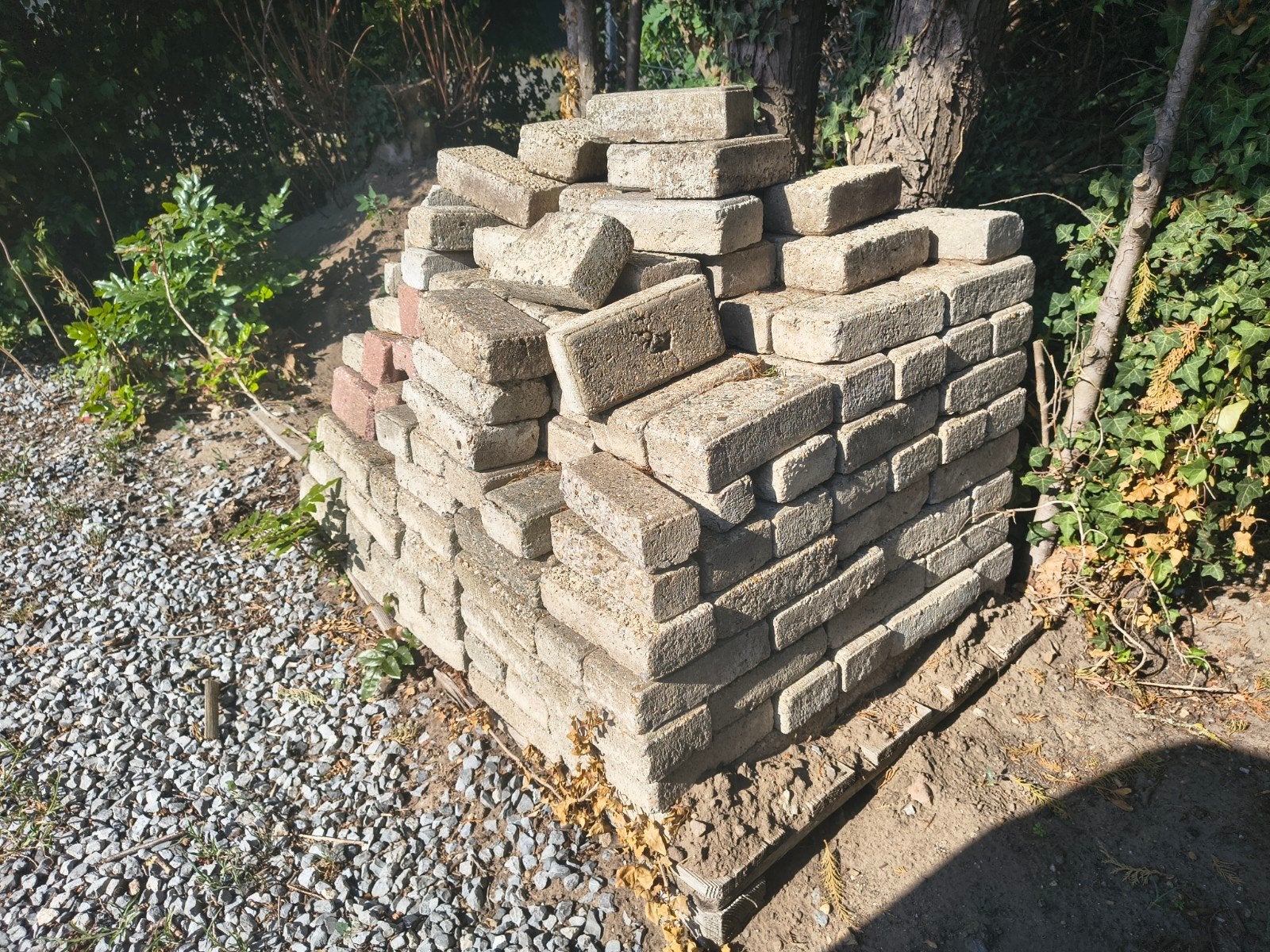 Gratis Klinkers beton +/-8m2 22x10,5x6,5 cm, Jardin & Terrasse, Pavé & Dalles, Enlèvement, Béton, Briques