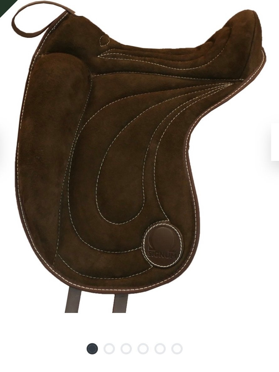 Signum barebackpad dressuur M, Animaux & Accessoires, Chevaux & Poneys | Selles, Comme neuf, Dressage, Enlèvement ou Envoi