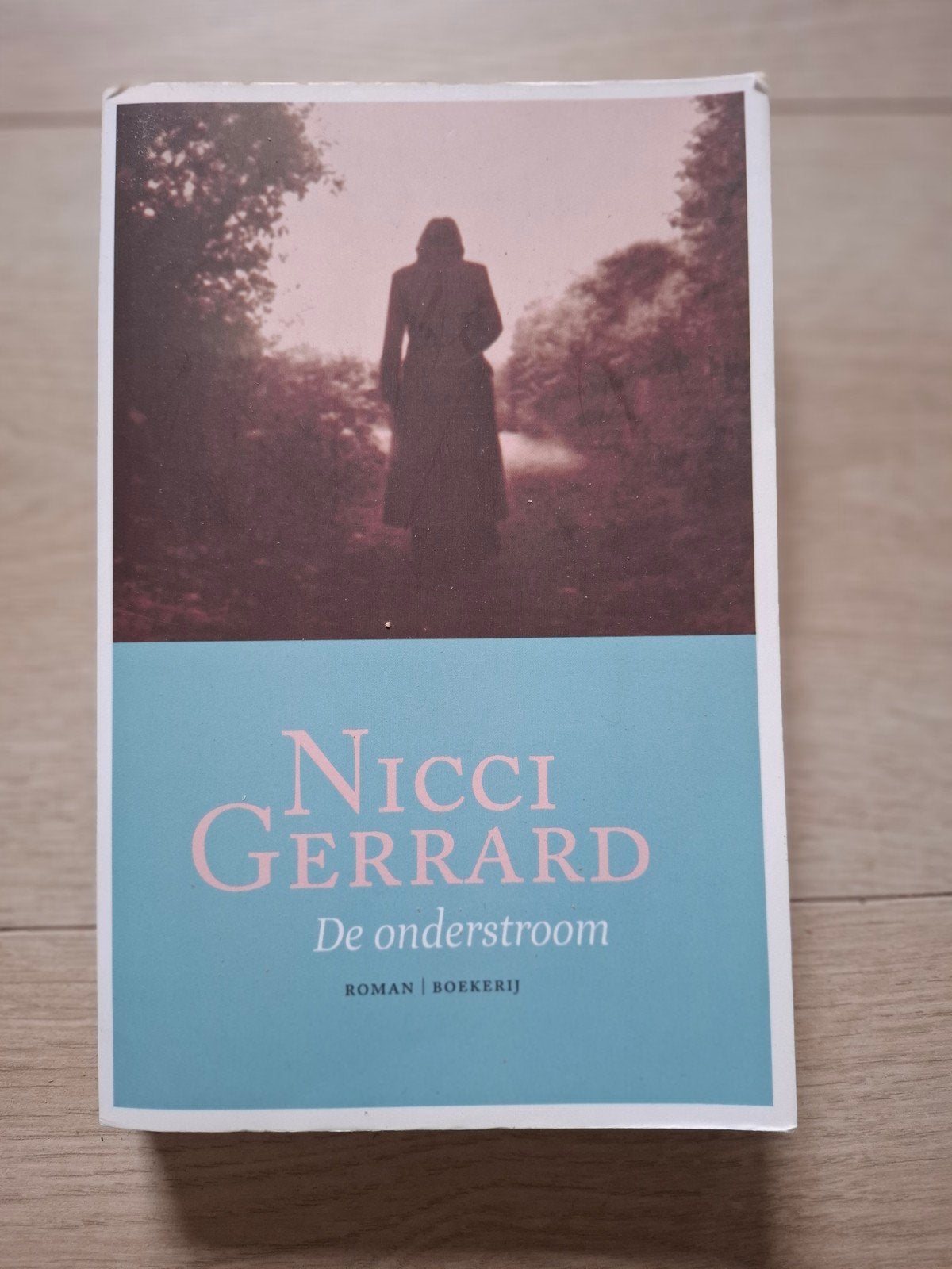 Nicci Gerrard – De onderstroom, Ophalen