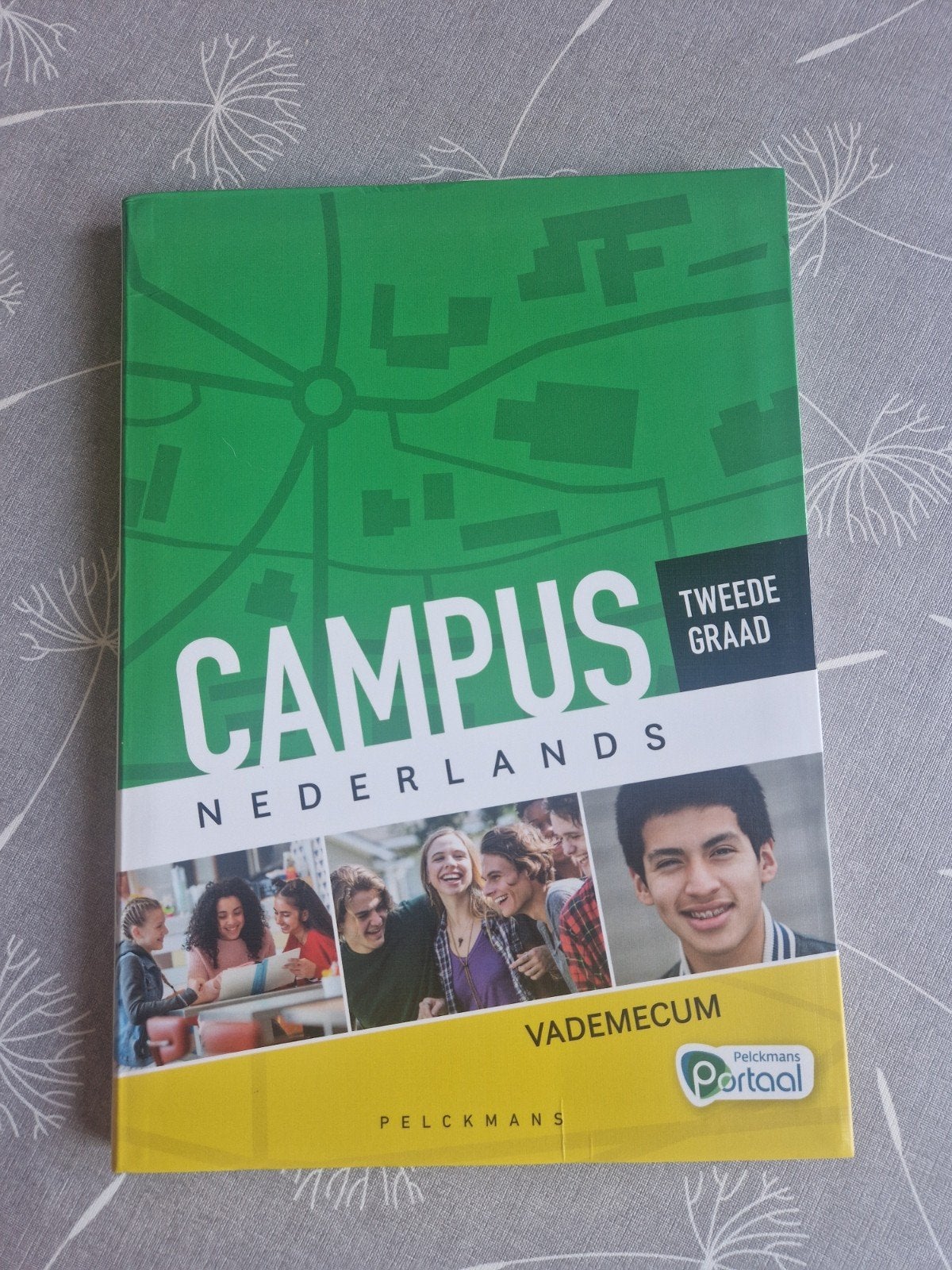 Campus Nederlands Vademecum (Tweede graad), Boeken, Ophalen of Verzenden, Nieuw, ASO, Nederlands