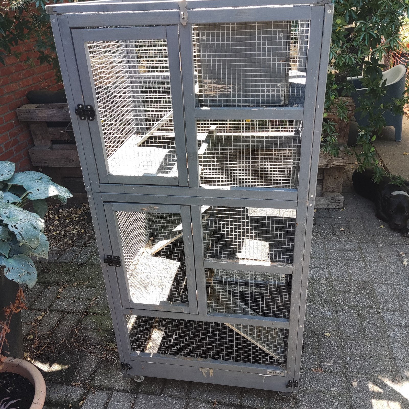 Kooi fret, Enlèvement, Cage, Furet