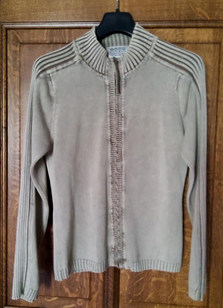 Fijn gebreid damesvest met ritssluiting Maat: L valt kleiner, Kleding | Dames, Ophalen, Gedragen, Maat 42/44 (L)