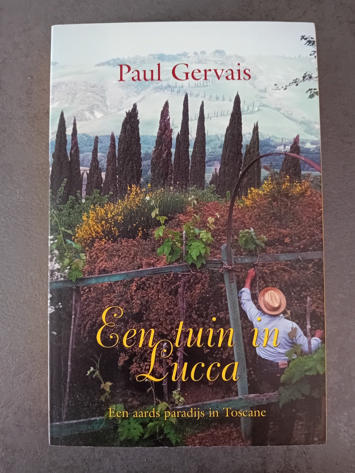 P. Gervais - Een tuin in Lucca, Livres, Enlèvement ou Envoi, Utilisé, P. Gervais