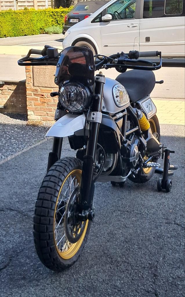 Ducati desert sled custom, 800 cm³, 2 cylindres, Enduro, Neuf