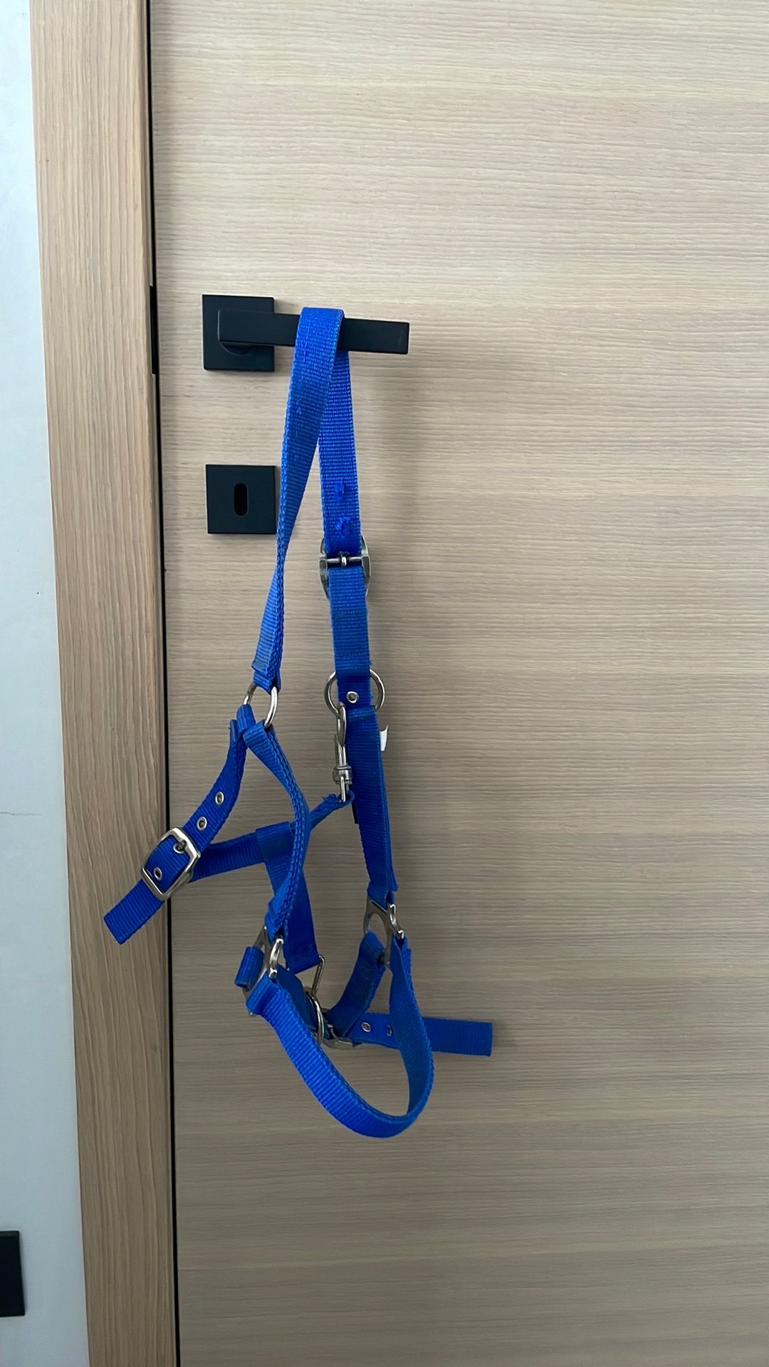 Halster harry horse, Dieren en Toebehoren, Ophalen, Gebruikt, Halster