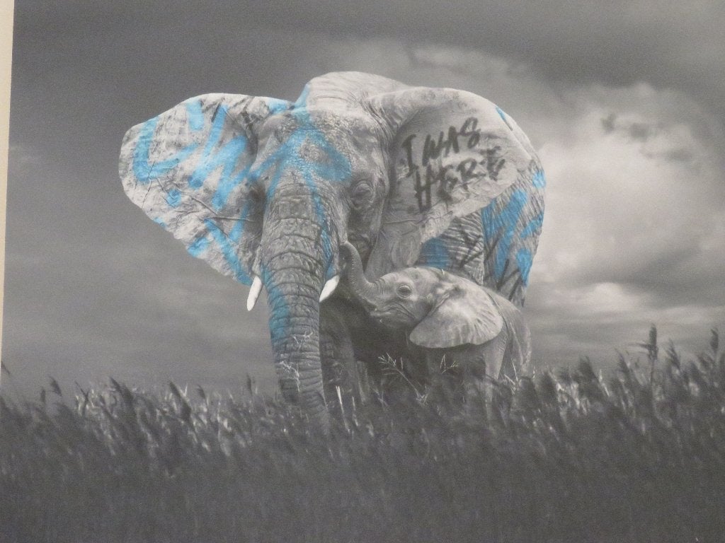 Giclée Small Fry I Was Here Elephant & Calf N 02/40, Antiquités & Art, Numéroté, Enlèvement ou Envoi, Giclée