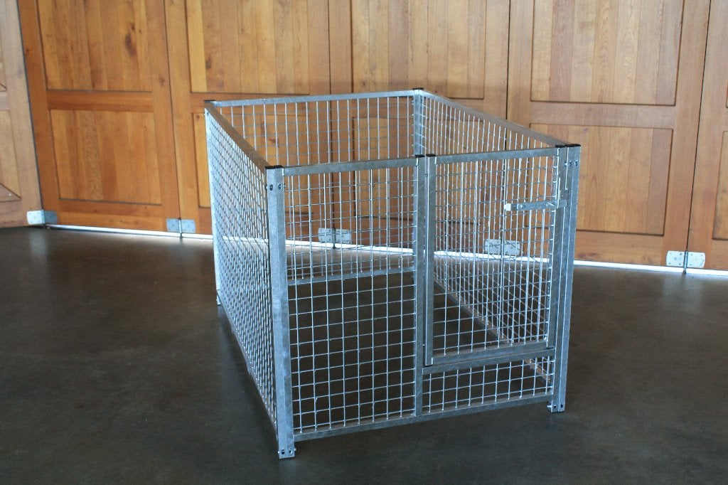 chiots, Neuf, 65 à 100 cm, Enlèvement, Chenil chien