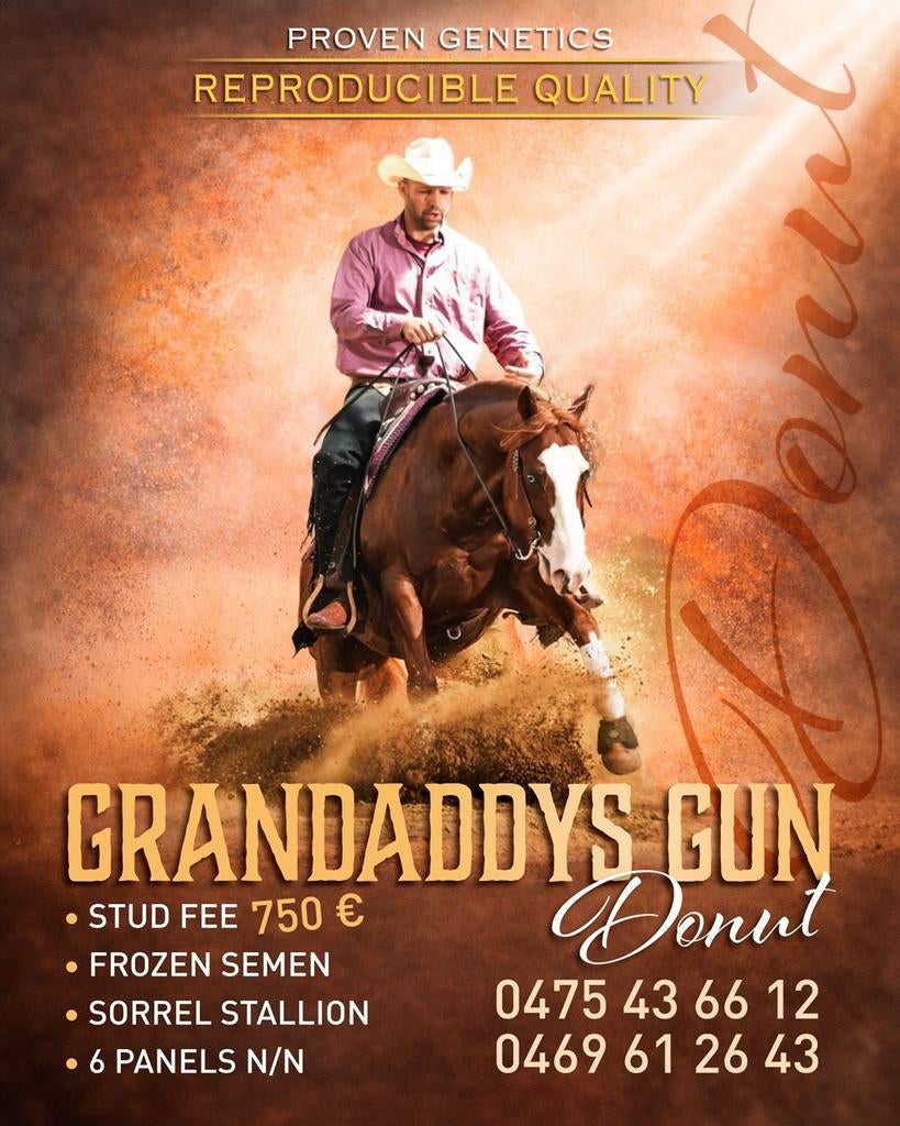 Grandaddys gun