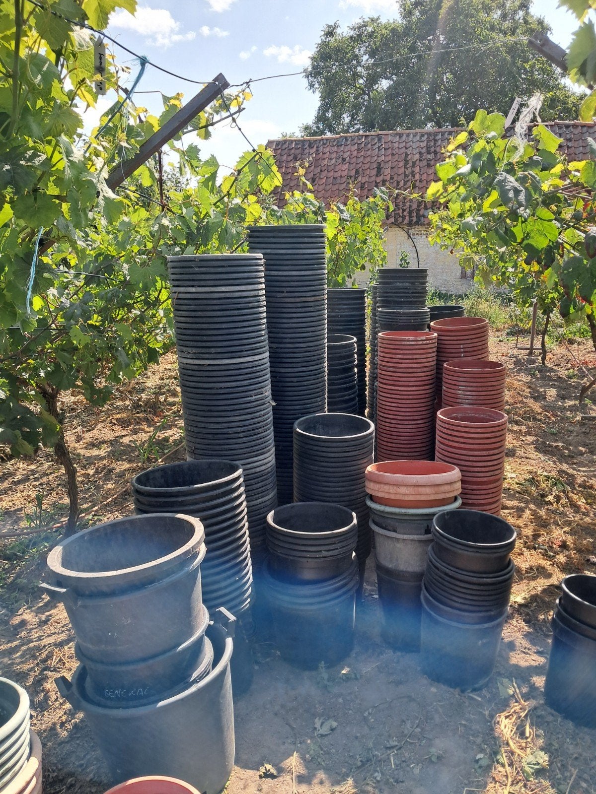 Jardin, Jardin & Terrasse, Bacs à fleurs & Jardinières