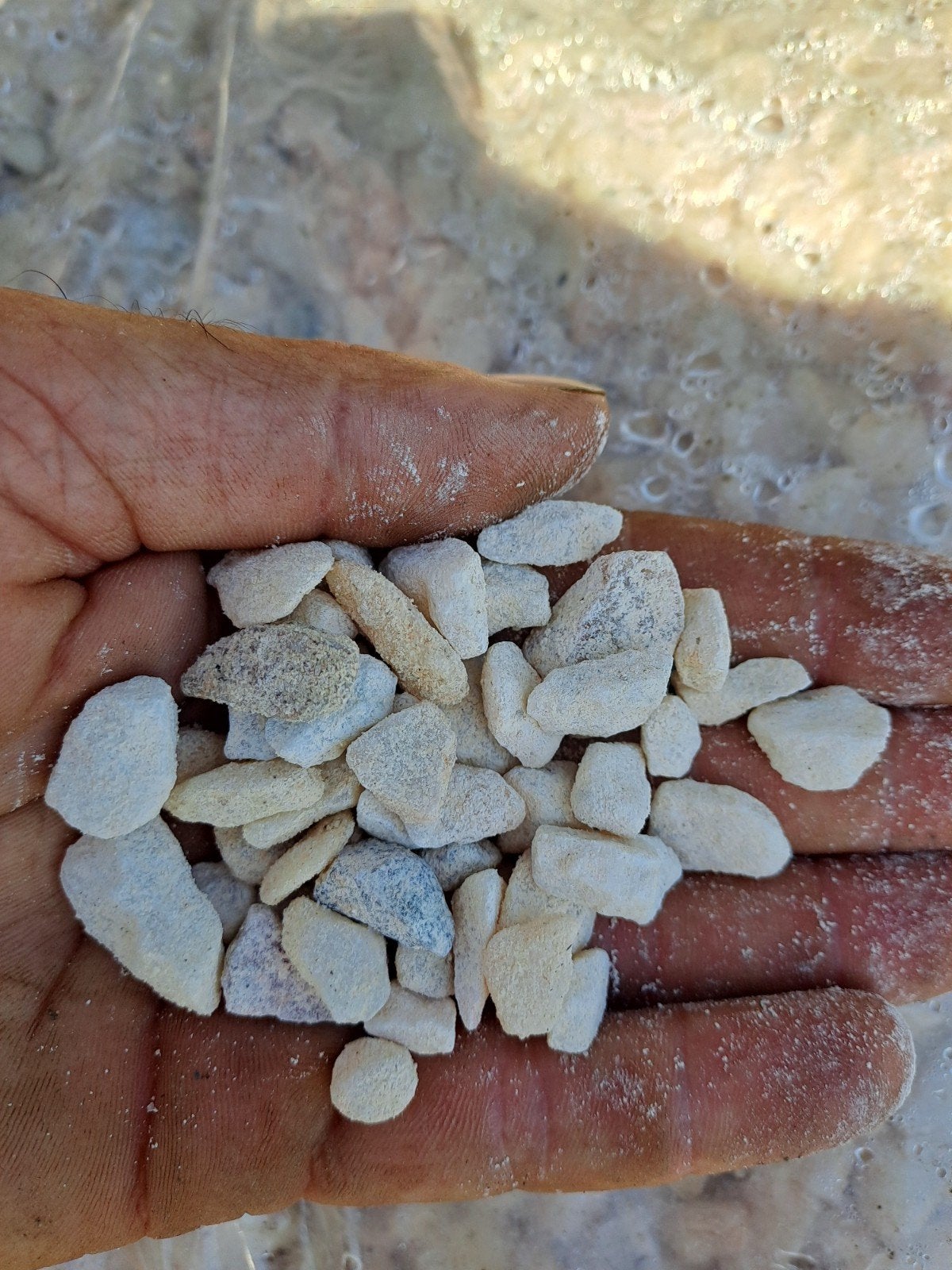 Steentjes Dilirium maat 7/14, Ophalen