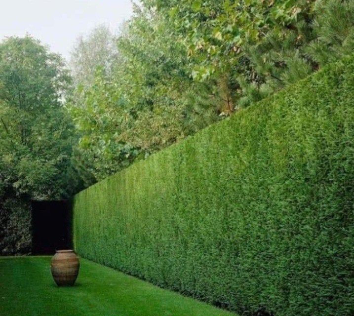 Tuinman gezocht?, Ophalen