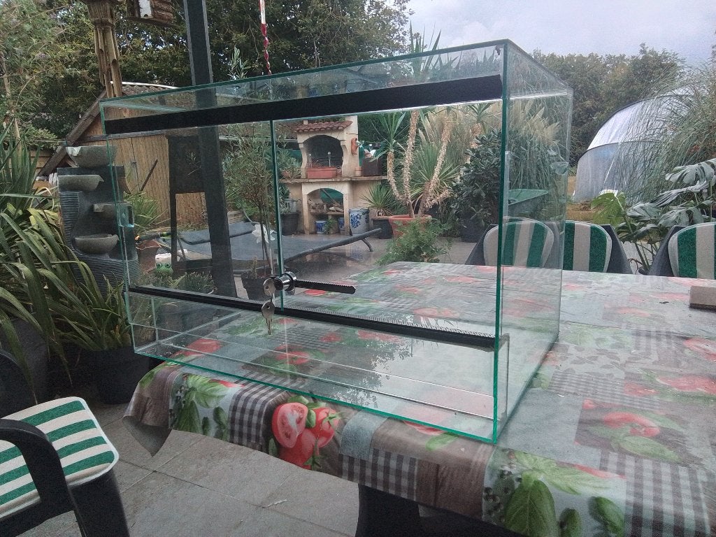 Terrarium 60x40x40 cm, Animaux & Accessoires, Enlèvement, Comme neuf, Terrarium ou Paludarium