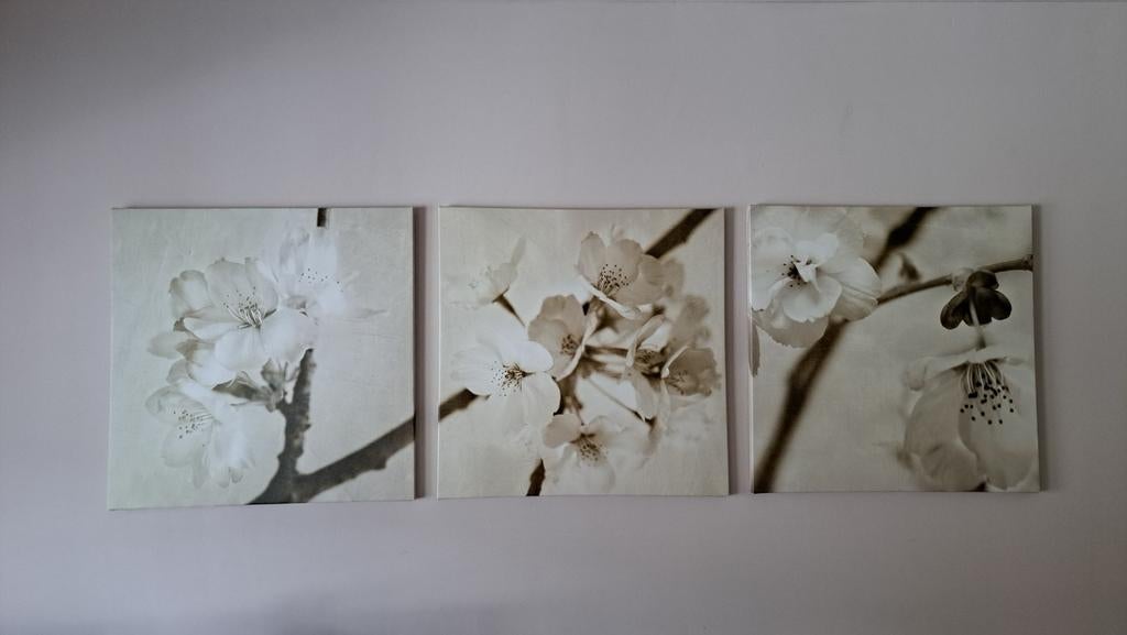 3 foto's op canvas Ikea, Ophalen