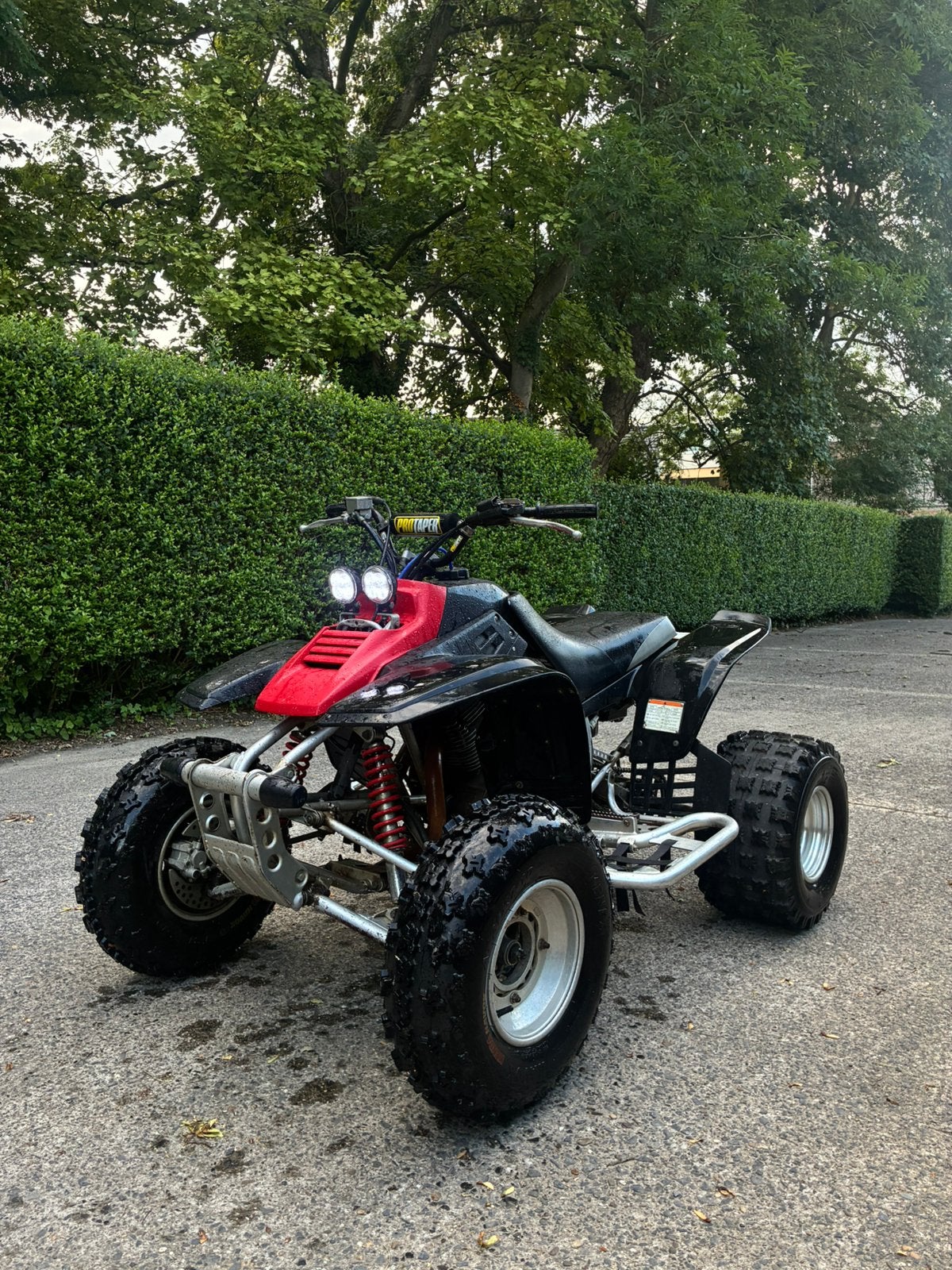 Yamaha warrior 350, Motoren