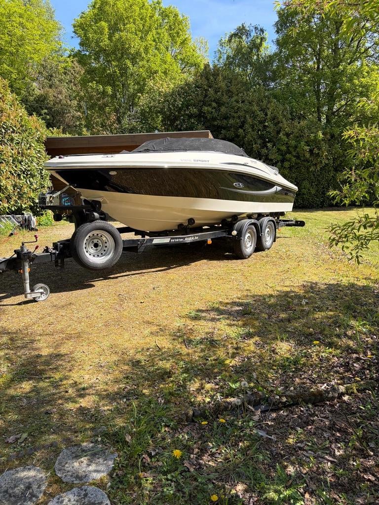 Sea ray, Watersport en Boten, Speedboten, Ophalen