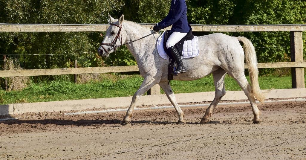 Halve stal of een derde stal, Dieren en Toebehoren