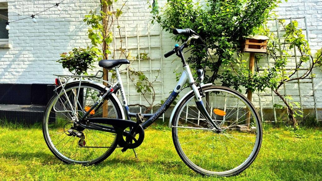 Minerva Orlando Damesfiets 28inch, Ophalen