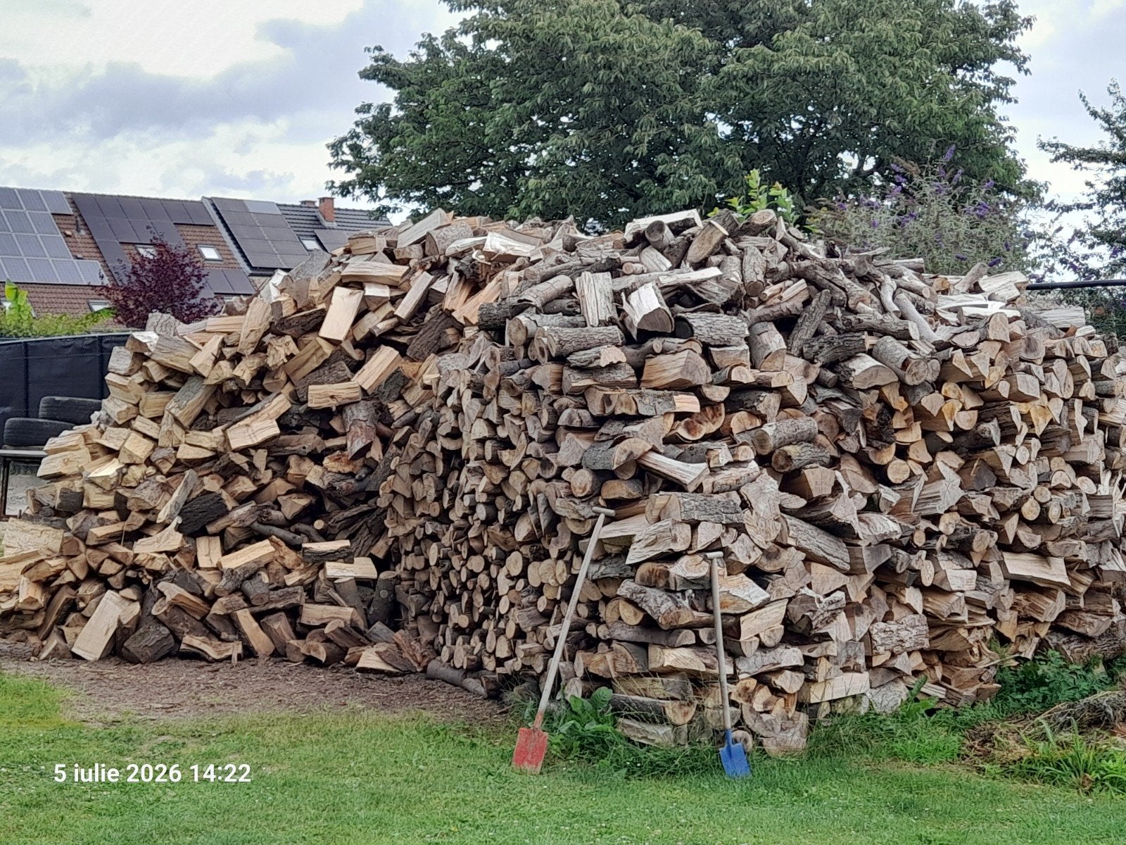 Bois de chauffage sec, chêne et hêtre, prix : 150€/m3, Enlèvement ou Envoi