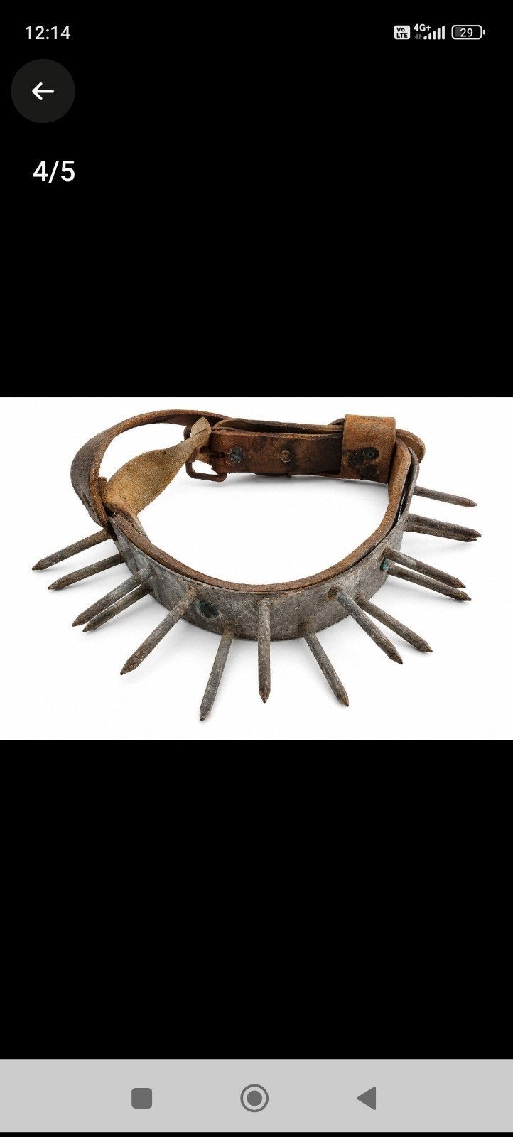 collier de chien cloué antique, Enlèvement ou Envoi