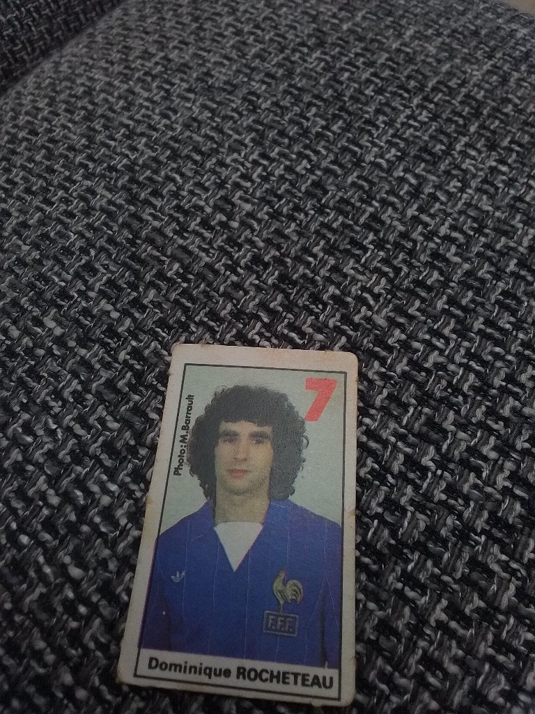 Panini, Enlèvement