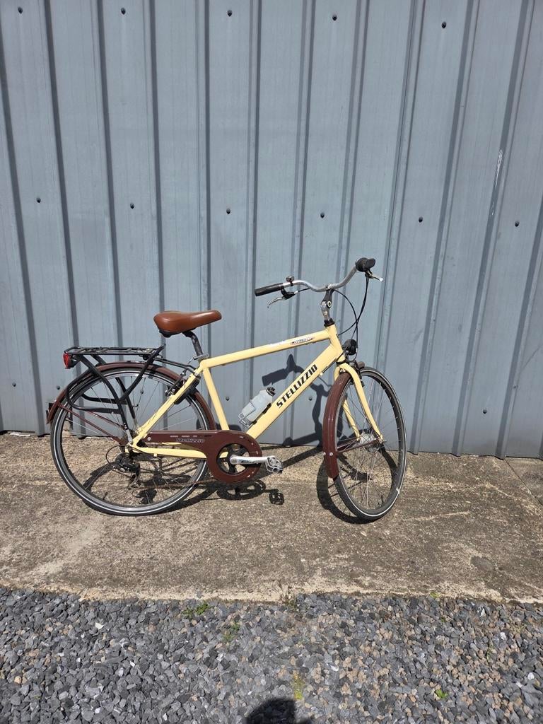 Herenfiets, Fietsen en Brommers, Ophalen