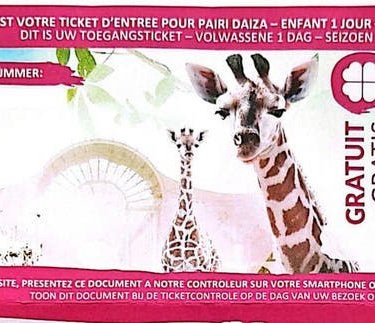 Entrée Pairidaisa enfant 3-11 ans, Tickets & Billets, Une personne, Ticket ou Carte d'accès