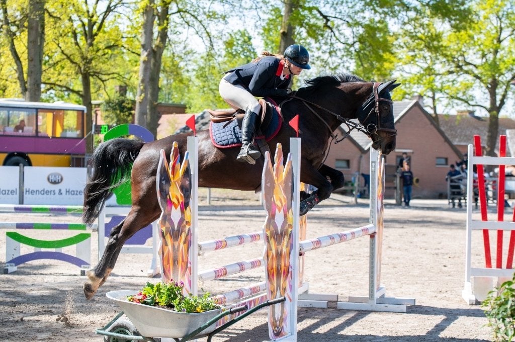 8 jarige springmerrie met top papier, Dieren en Toebehoren, Merrie, Springpaard, Met stamboom, 7 tot 10 jaar