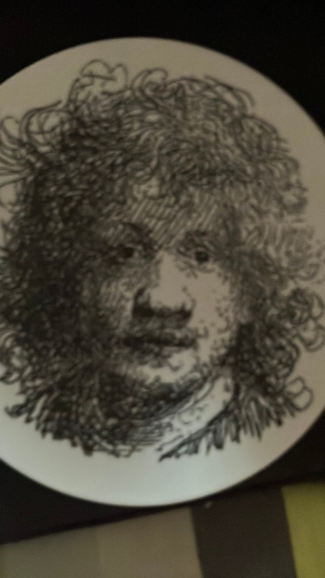 Zeldzaam royal limoges sierbord van Rembrandt.          2014, Enlèvement