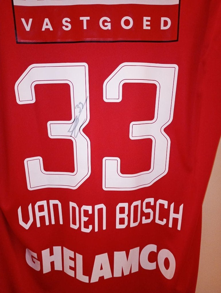 Shirtje Anwerp - Zeno Van den Bosch, Collections, Articles de Sport & Football, Enlèvement ou Envoi, Neuf, Maillot