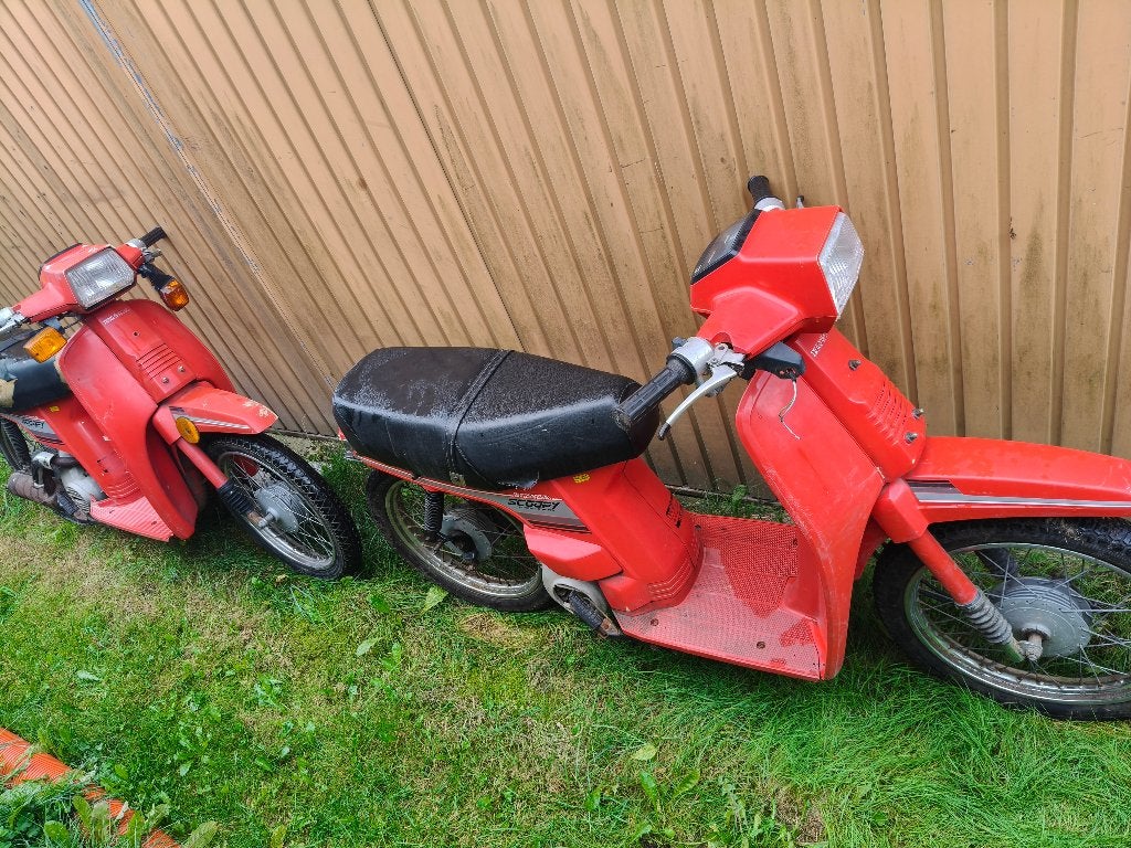 Honda Scoopy's, Ophalen, Gebruikt, 49 cc, Overige modellen
