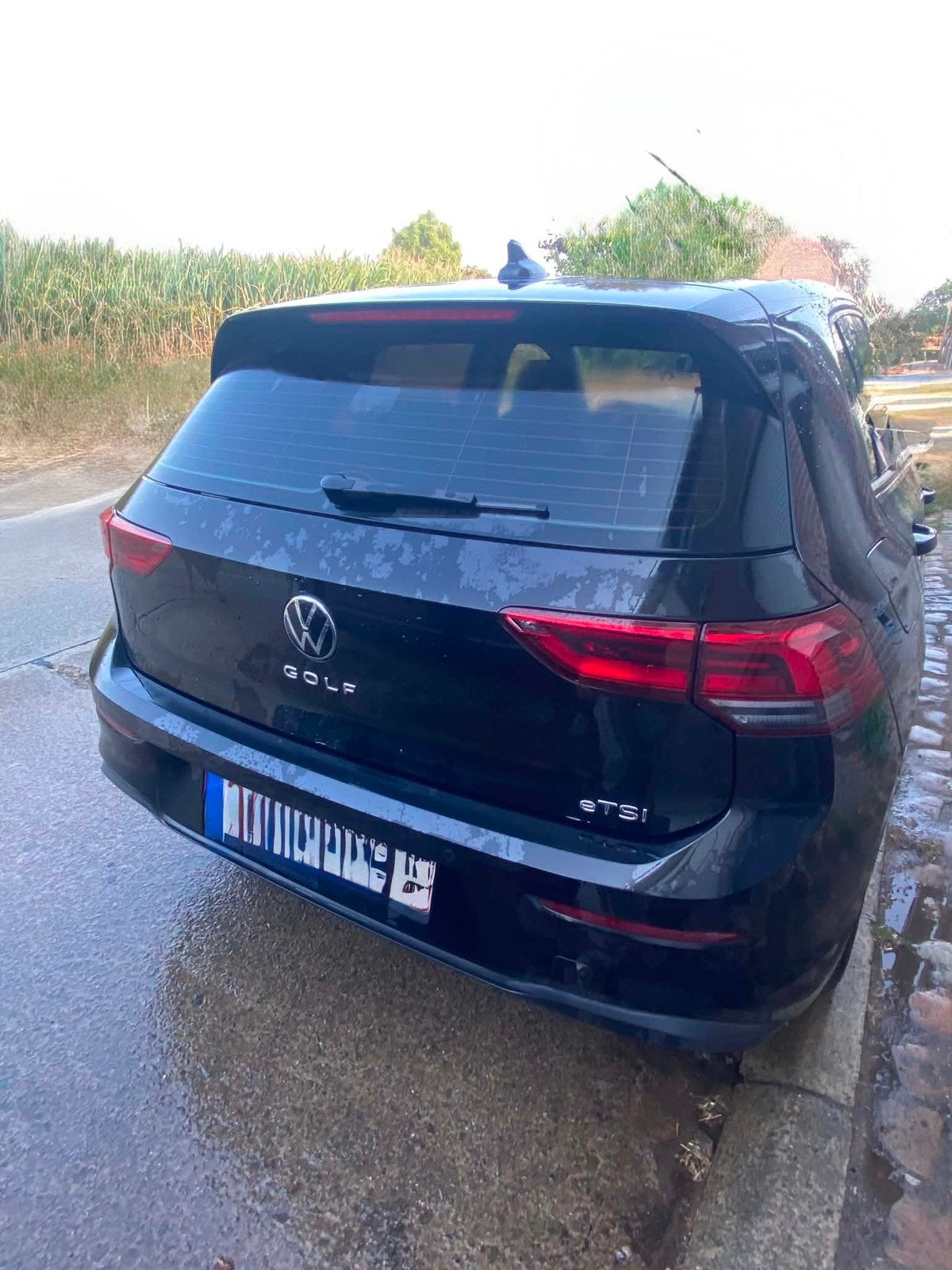 Volkwagen - Golf 8 - Golf 1.0 TSI Life  - 19000 Km, Auto's, Volkswagen, 1304 kg, Stof, 0 kg, Zwart