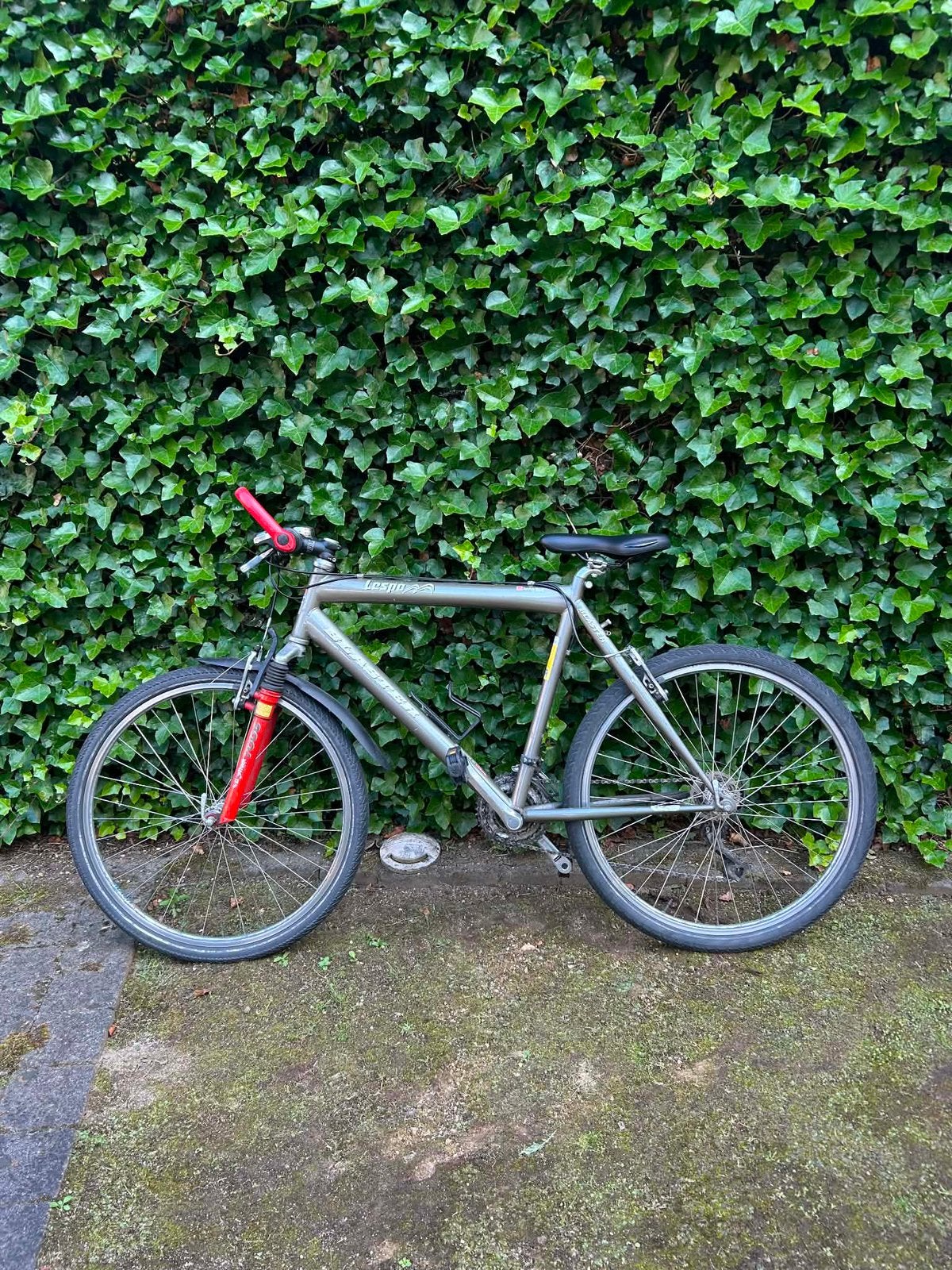 Mountainbike, Fietsen en Brommers, Ophalen, Gebruikt, Heren