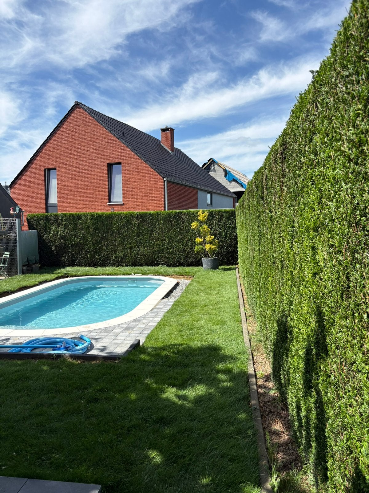Elagage, abattage, jardinage, Jardin & Terrasse, Enlèvement, Comme neuf