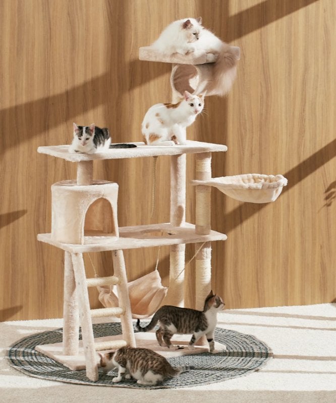 Arbre à chat 1m41 Griffoir chatons Neuf, Neuf, Griffoir, Vampira1804@hotmail.com, Pets&gardenshop