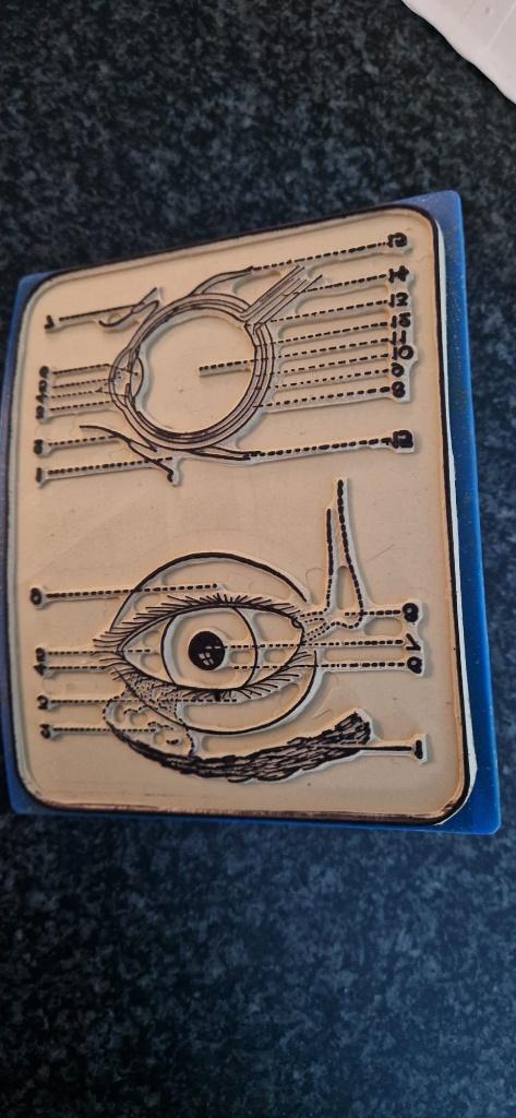 Stempel oud schoolmateriaal oog, Ophalen of Verzenden