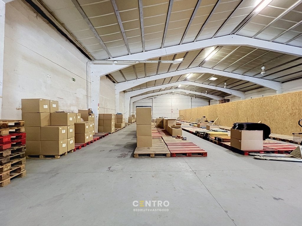 TE HUUR - Magazijn, WAREGEM, Province de Flandre-Occidentale