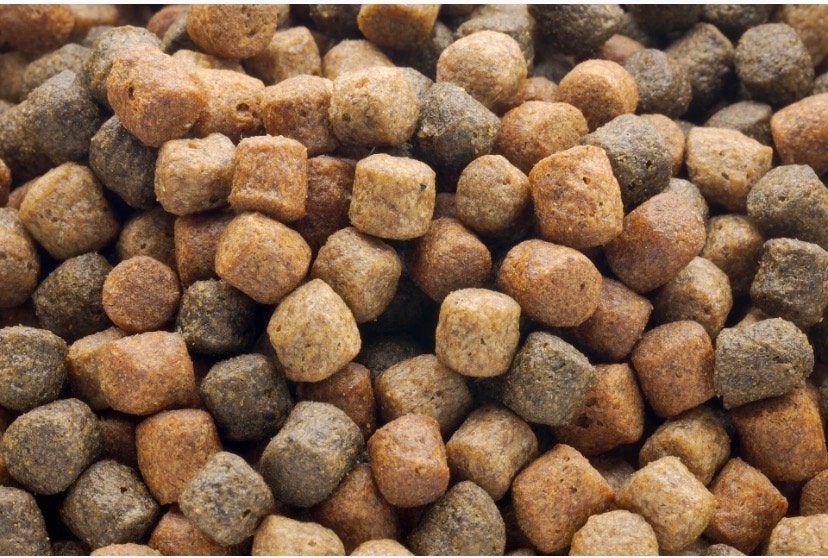 Top Mix Koivoer 15 kilo €120,- 6 kilo €60,-, Karper of Koi