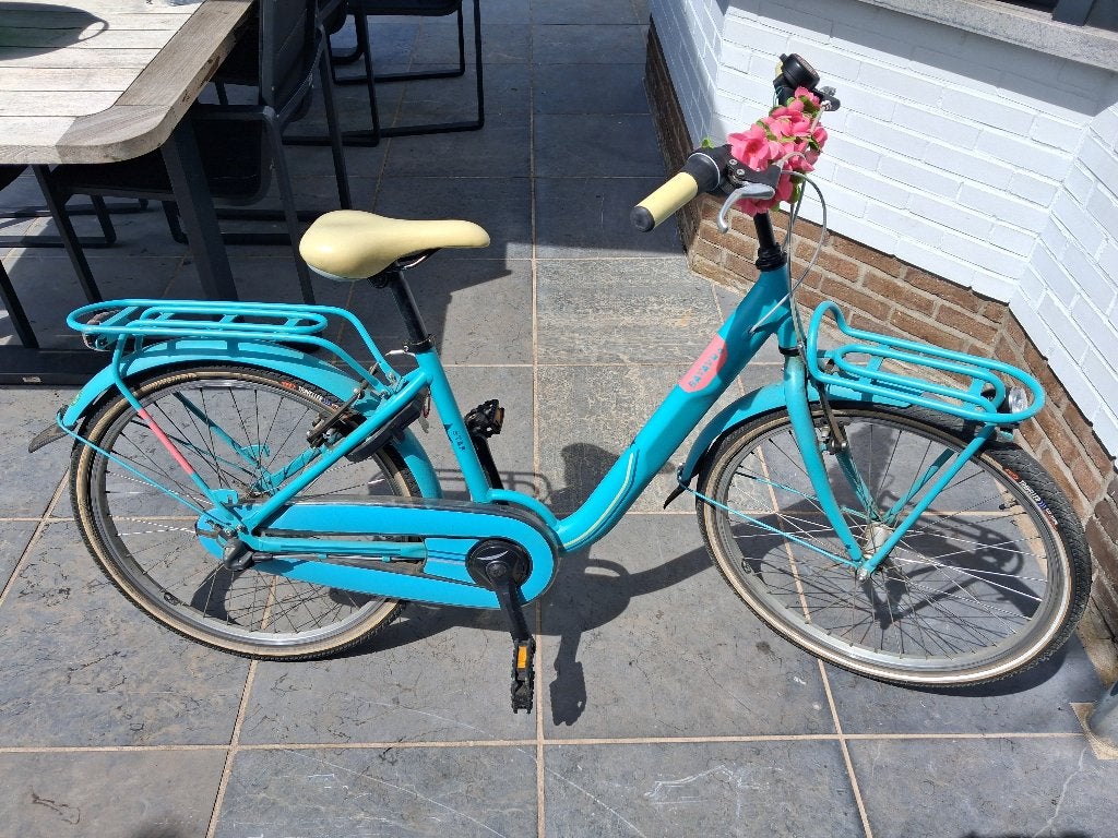 Kinderfiets 24 inch, Fietsen en Brommers, Ophalen, 20 inch of meer, Gebruikt, Batavus