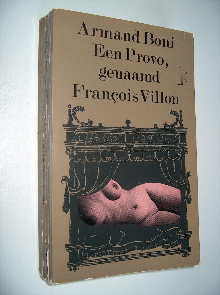 Armand Boni - Een Provo, genaamd François Villon