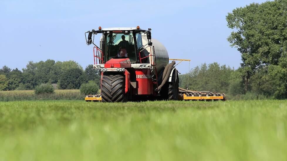 Mestafzet gezocht, Dieren en Toebehoren, Runderen