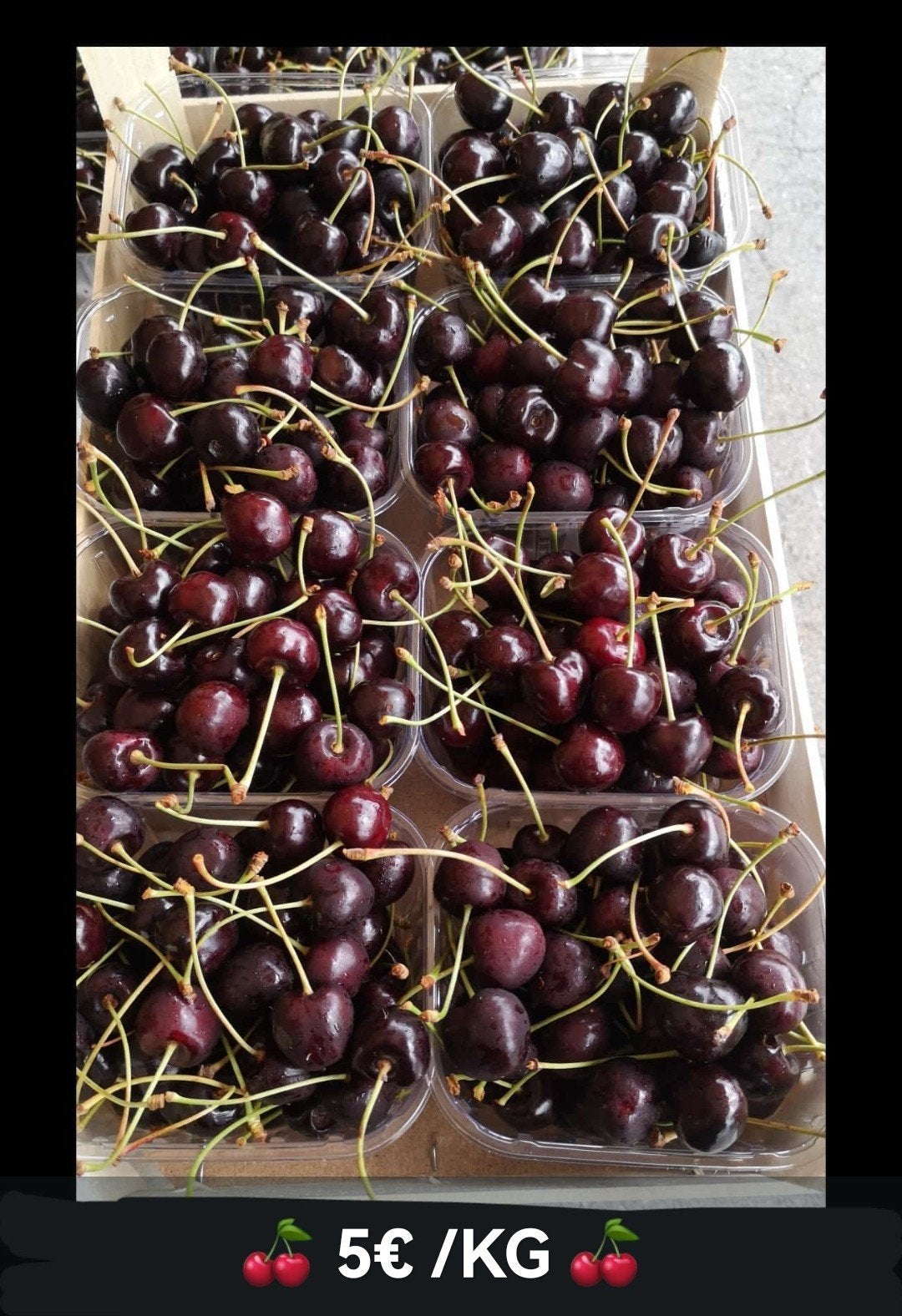 Cerise Belge, Zakelijke goederen, Landbouw | Aardappelen, Groenten, Fruit en Vlees, Ophalen of Verzenden