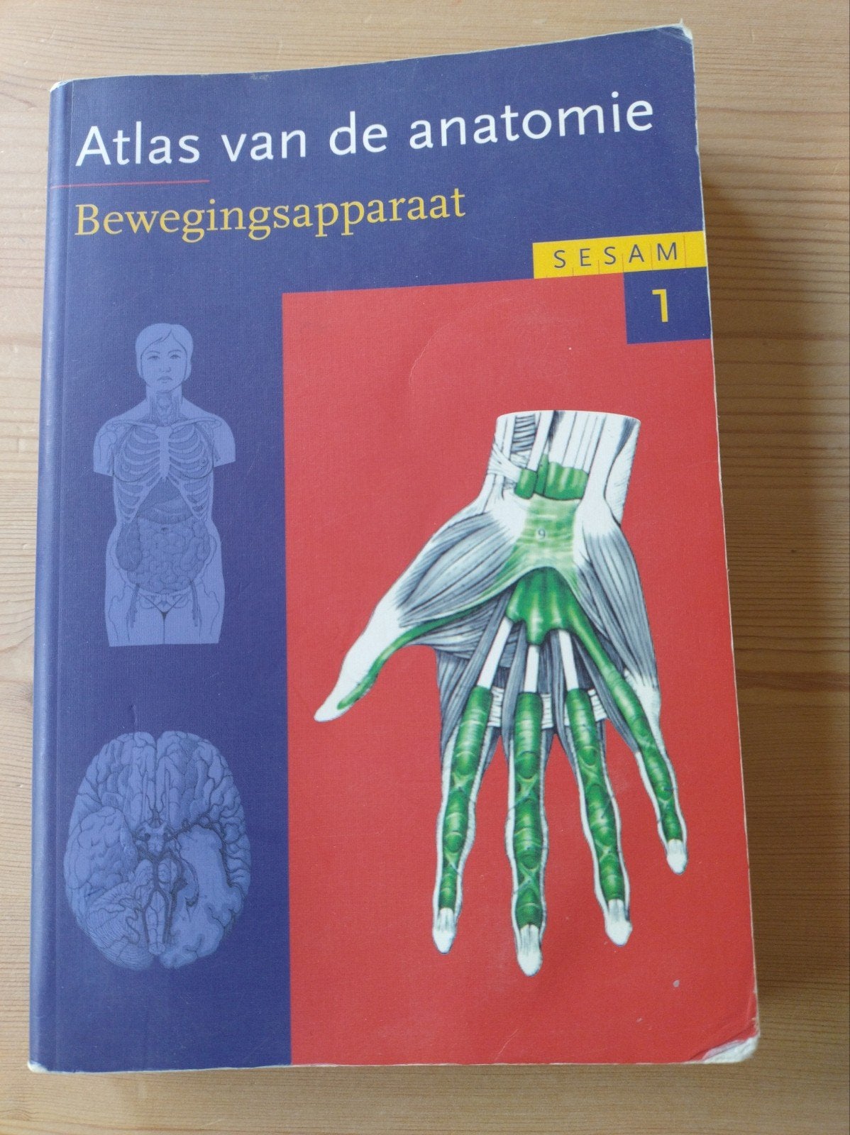 Werner Platzer - 1 Bewegingsapparaat, Ophalen of Verzenden, Werner Platzer