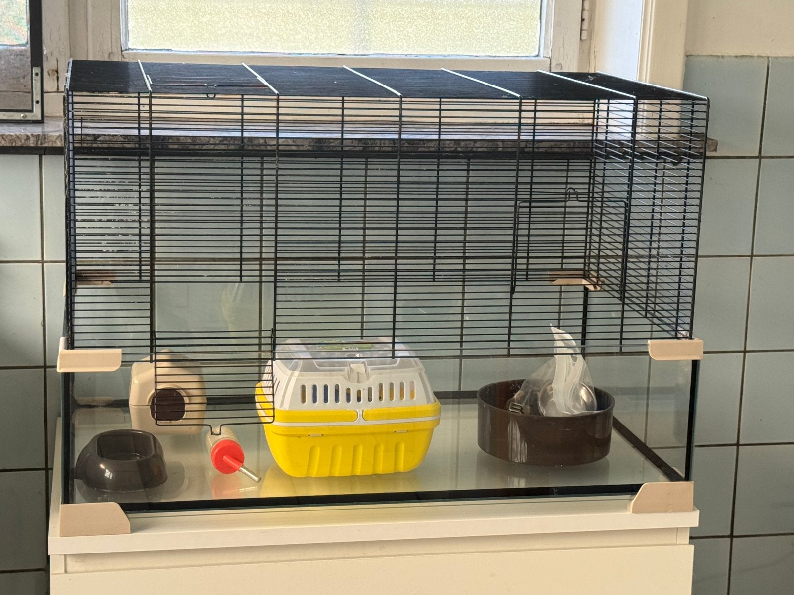 Hamster/muizenkooi, Enlèvement, Comme neuf, Cage, Hamster