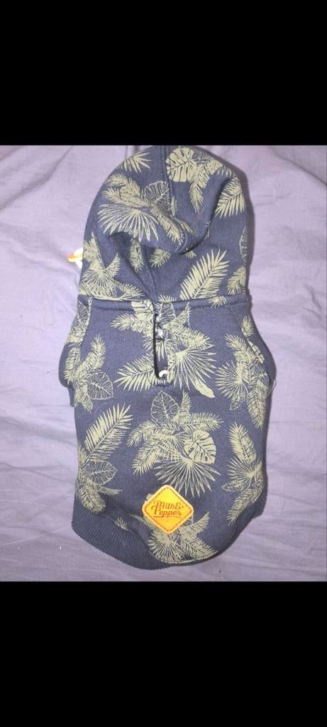 Nieuw Truitje milk&pepper 24, Animaux & Accessoires, Enlèvement ou Envoi