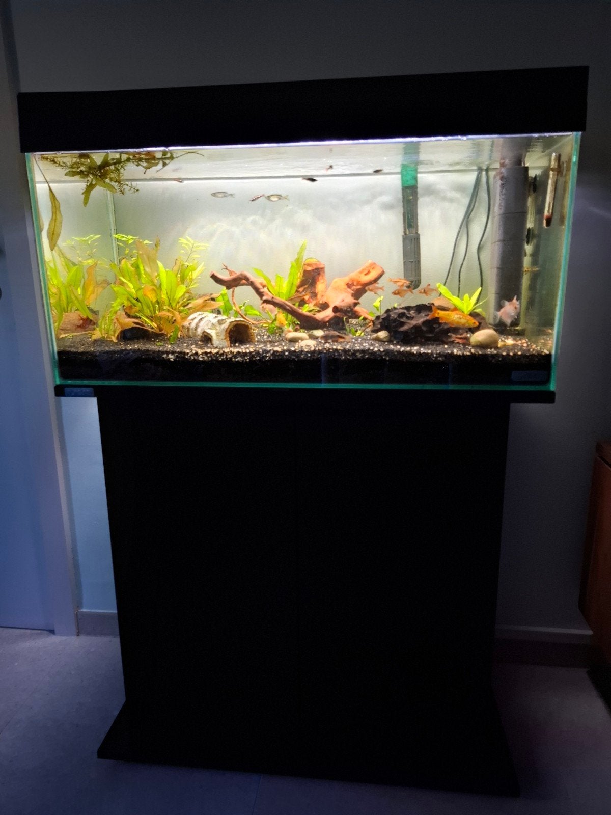 SERRA AQARIUM ALLES INBEGREPEN  128L, Enlèvement, Chauffage, Filter