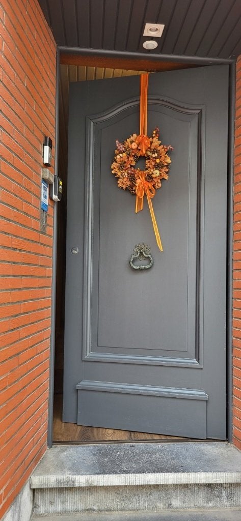 Voordeur, Ophalen, Gebruikt, 80 tot 100 cm, Buitendeur