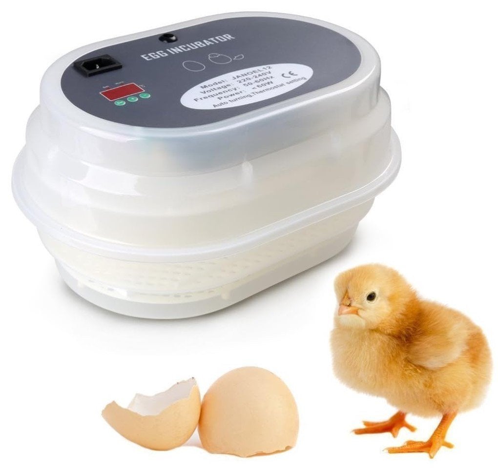 Incubator voor eieren, Dieren en Toebehoren, Ophalen of Verzenden, Nieuw, Broedstoof of Broedmachine