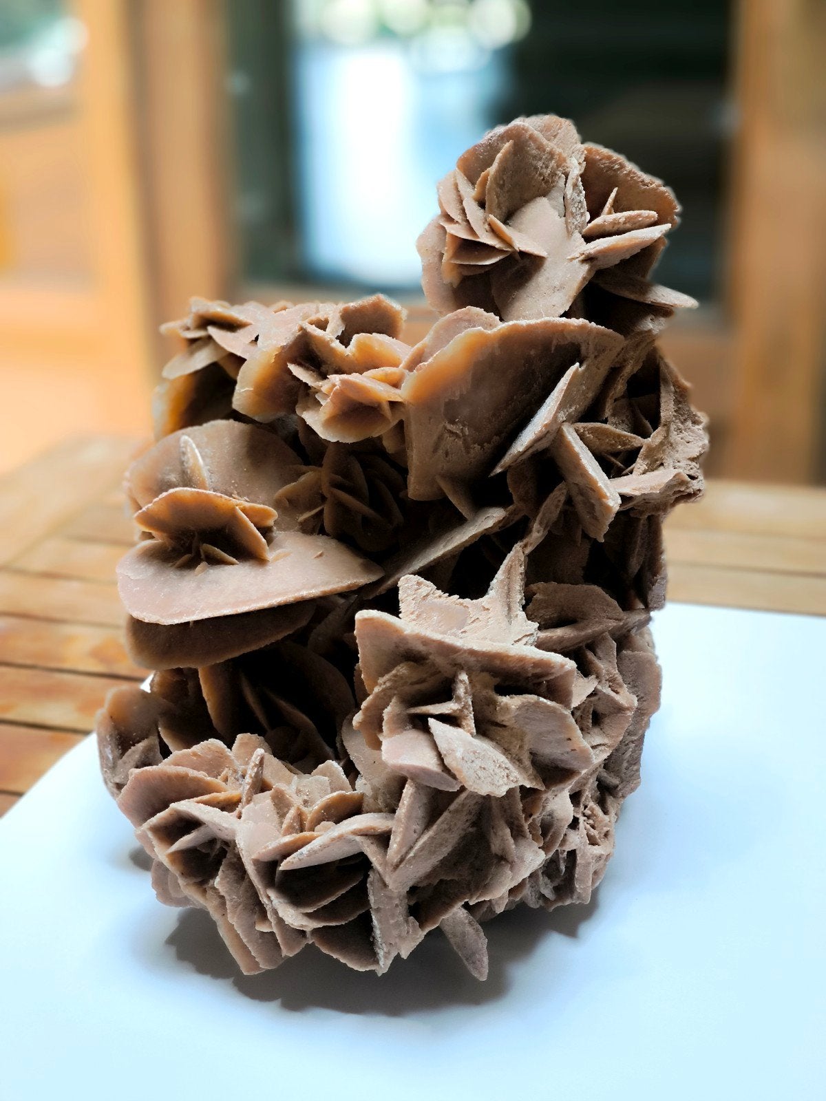 Grande Rose des Sables, Huis en Inrichting, Woonaccessoires | Kransen, Ophalen, Gebruikt