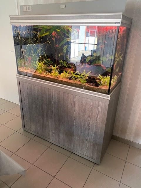 aquarium, Ophalen, Filter, Chihiros