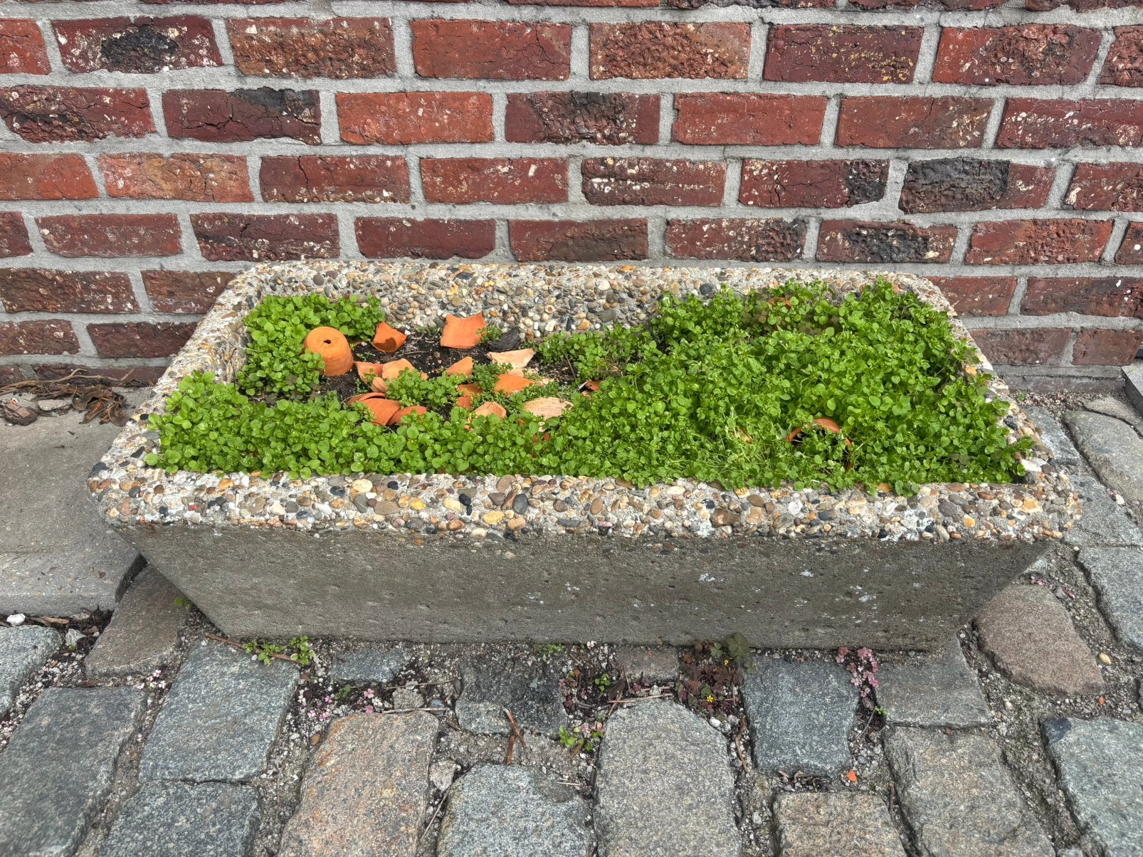 Beton planten bak, Ophalen, Zo goed als nieuw, Rechthoekig, Beton
